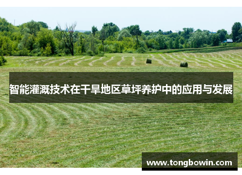 智能灌溉技术在干旱地区草坪养护中的应用与发展